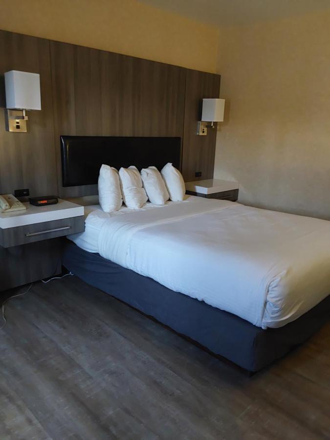 בלינגהאם Lavissh Inn And Suites מראה חיצוני תמונה