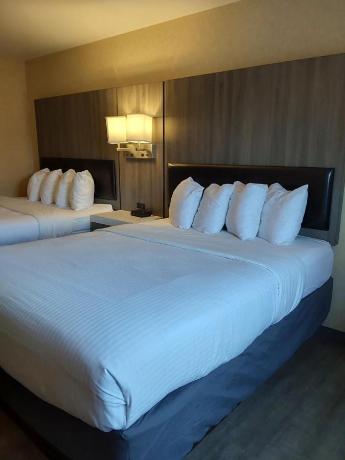 בלינגהאם Lavissh Inn And Suites מראה חיצוני תמונה