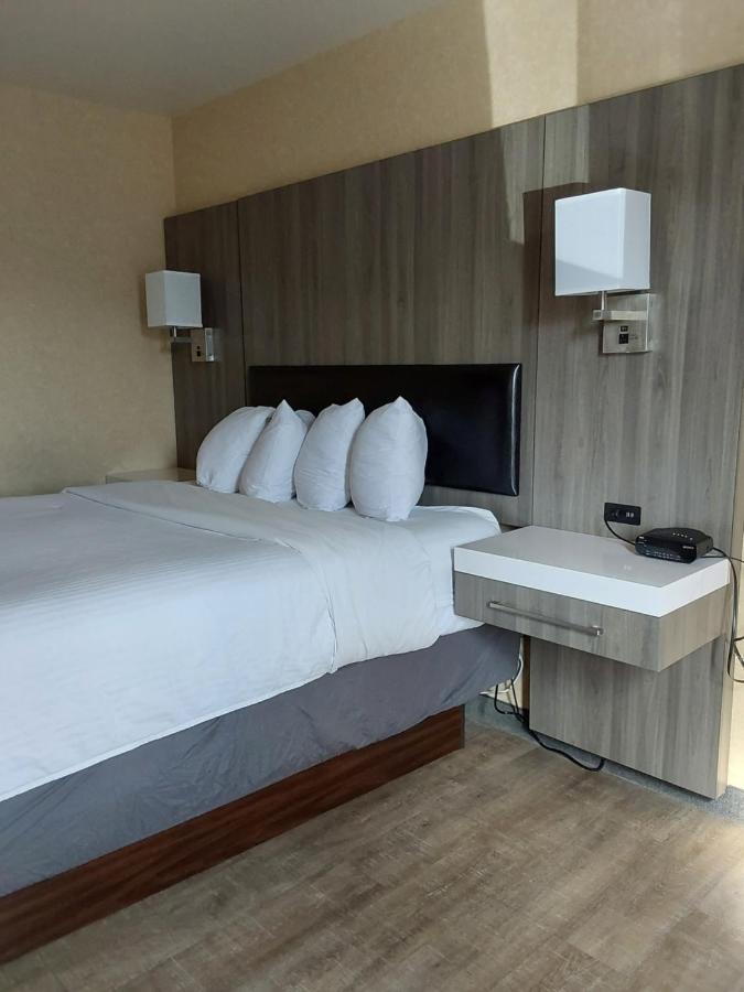 בלינגהאם Lavissh Inn And Suites מראה חיצוני תמונה