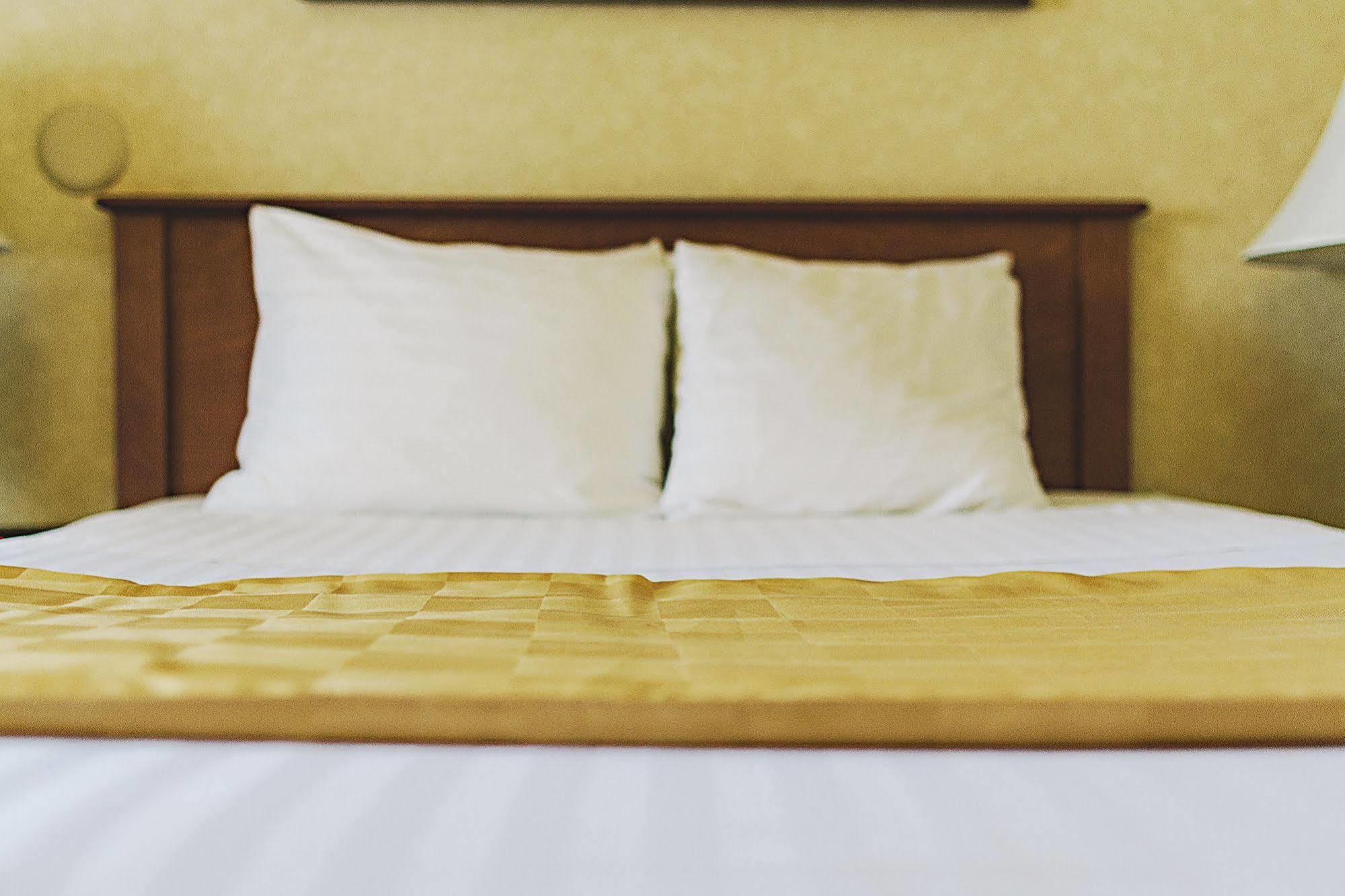 בלינגהאם Lavissh Inn And Suites מראה חיצוני תמונה