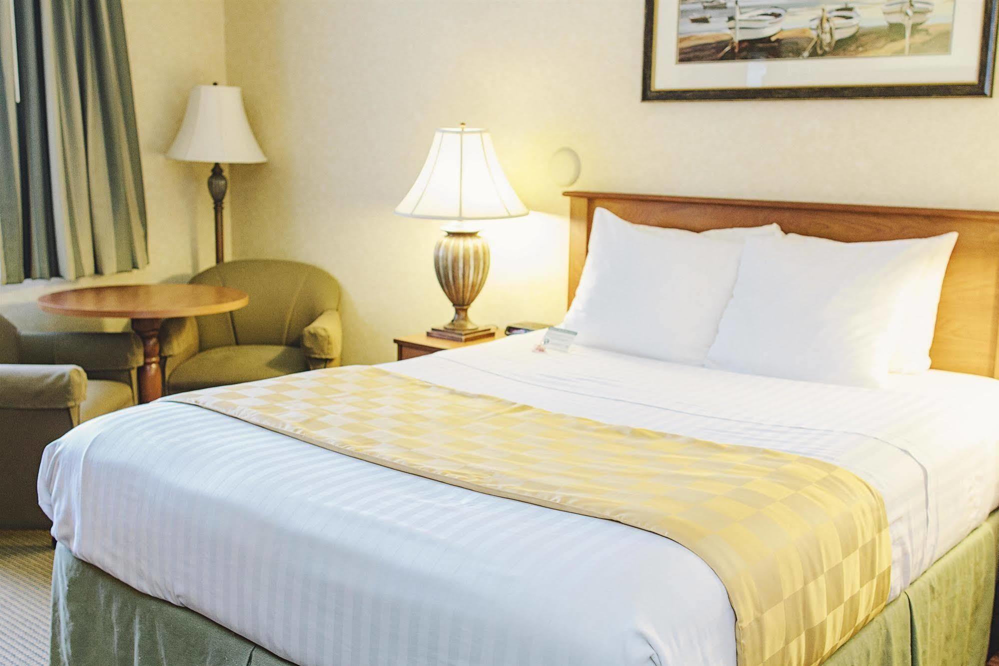 בלינגהאם Lavissh Inn And Suites מראה חיצוני תמונה