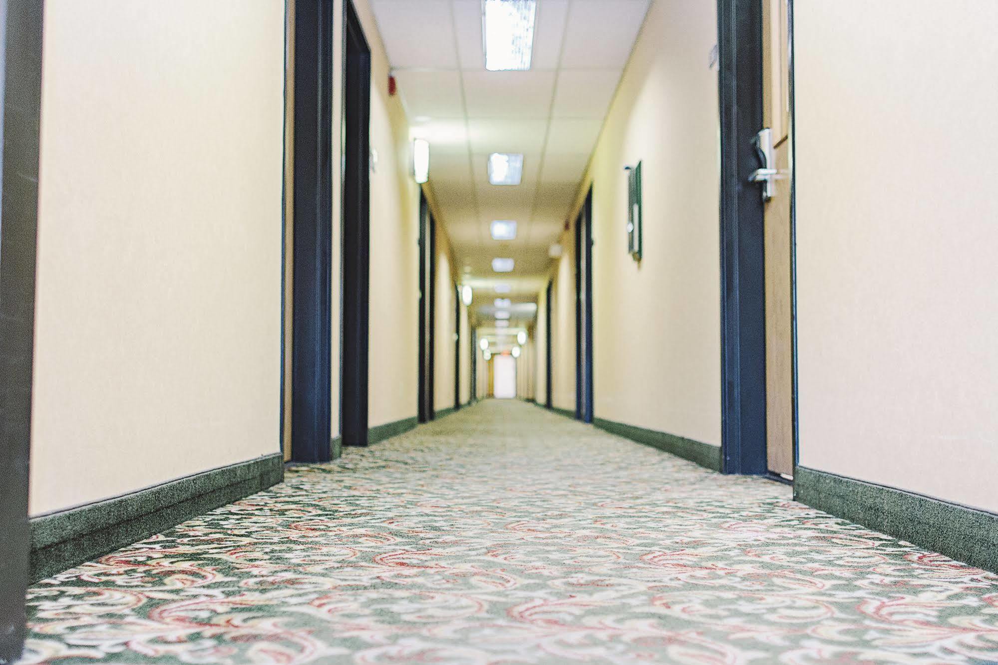 בלינגהאם Lavissh Inn And Suites מראה חיצוני תמונה